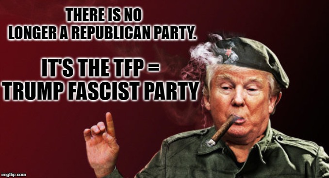 Trump Fascist Party | THERE IS NO LONGER A REPUBLICAN PARTY. IT'S THE TFP = TRUMP FASCIST PARTY | image tagged in donald trump,republicans | made w/ Imgflip meme maker