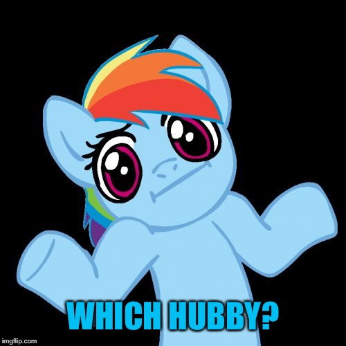 Pony Shrugs Meme | WHICH HUBBY? | image tagged in memes,pony shrugs | made w/ Imgflip meme maker