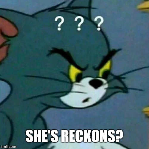 SHE'S RECKONS? | made w/ Imgflip meme maker