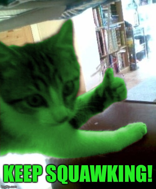 thumbs up RayCat | KEEP SQUAWKING! | image tagged in thumbs up raycat | made w/ Imgflip meme maker
