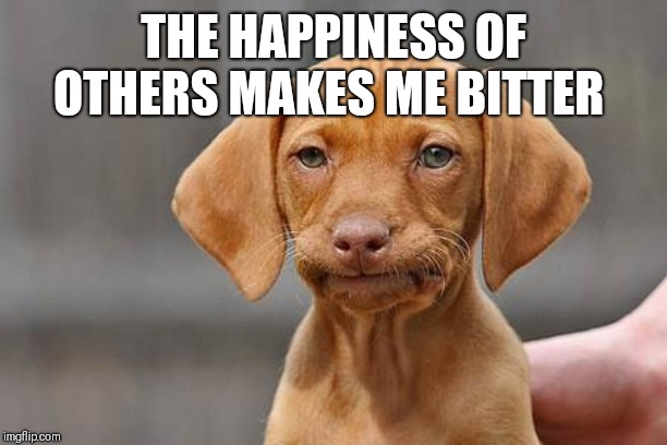 Dissapointed puppy | THE HAPPINESS OF OTHERS MAKES ME BITTER | image tagged in dissapointed puppy | made w/ Imgflip meme maker