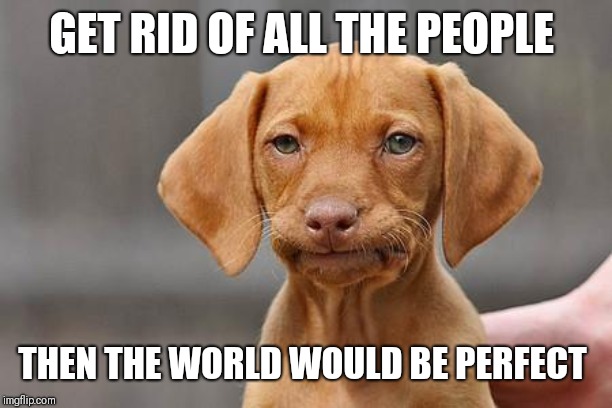 Dissapointed puppy | GET RID OF ALL THE PEOPLE THEN THE WORLD WOULD BE PERFECT | image tagged in dissapointed puppy | made w/ Imgflip meme maker