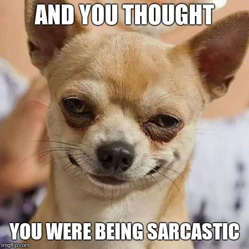 Smirking Dog | AND YOU THOUGHT YOU WERE BEING SARCASTIC | image tagged in smirking dog | made w/ Imgflip meme maker
