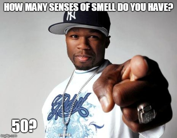 50 Cent | HOW MANY SENSES OF SMELL DO YOU HAVE? 50? | image tagged in 50 cent | made w/ Imgflip meme maker