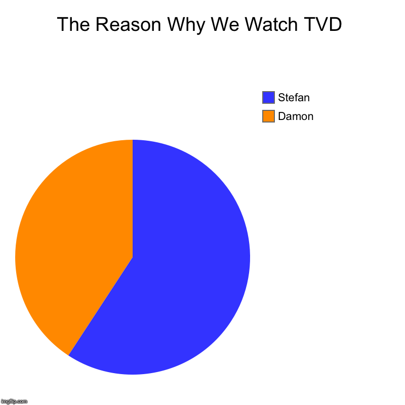 The Reason Why We Watch TVD | Damon, Stefan | image tagged in charts,pie charts | made w/ Imgflip chart maker
