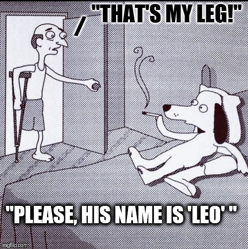 There was nothing artificial about Rex's feelings | /; "THAT'S MY LEG!"; "PLEASE, HIS NAME IS 'LEO' " | image tagged in vince vance,dogs,dog humping a leg,artificial leg,smoking after sex,man's best friend | made w/ Imgflip meme maker