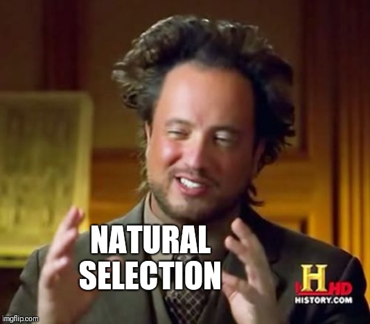 Ancient Aliens Meme | NATURAL SELECTION | image tagged in memes,ancient aliens | made w/ Imgflip meme maker