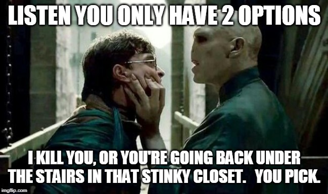 Voldemort and Harry | LISTEN YOU ONLY HAVE 2 OPTIONS; I KILL YOU, OR YOU'RE GOING BACK UNDER THE STAIRS IN THAT STINKY CLOSET.   YOU PICK. | image tagged in voldemort and harry | made w/ Imgflip meme maker