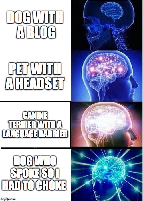 Expanding Brain | DOG WITH  A BLOG; PET WITH A HEADSET; CANINE TERRIER WITH A LANGUAGE BARRIER; DOG WHO SPOKE SO I HAD TO CHOKE | image tagged in memes,expanding brain | made w/ Imgflip meme maker