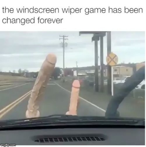 Dildo Wipers | image tagged in dildo wipers | made w/ Imgflip meme maker