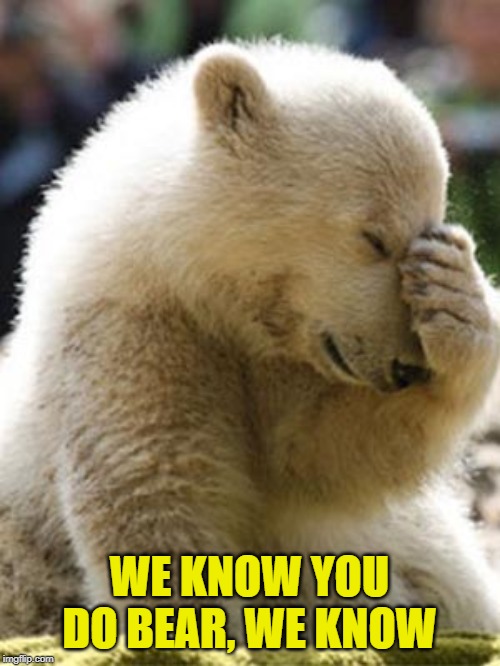Facepalm Bear Meme | WE KNOW YOU DO BEAR, WE KNOW | image tagged in memes,facepalm bear | made w/ Imgflip meme maker