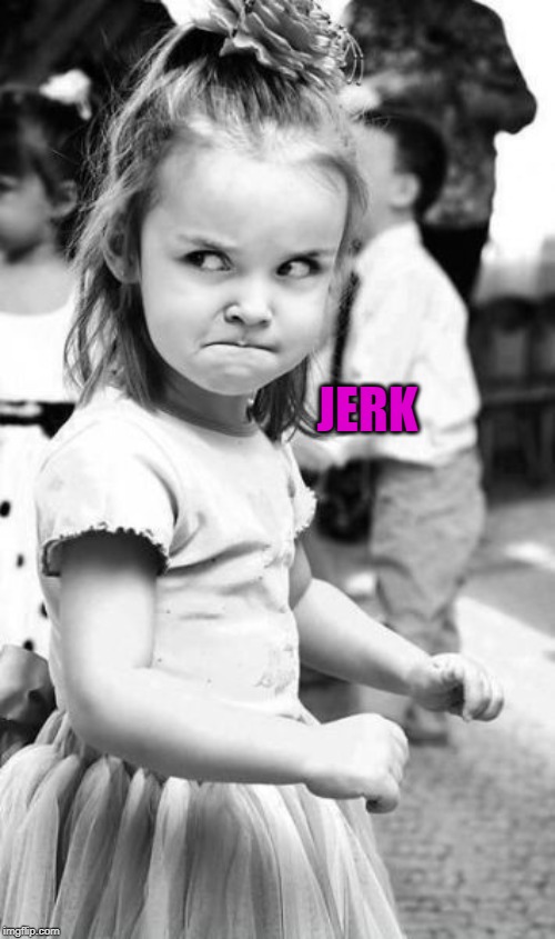 Angry Toddler Meme | JERK | image tagged in memes,angry toddler | made w/ Imgflip meme maker