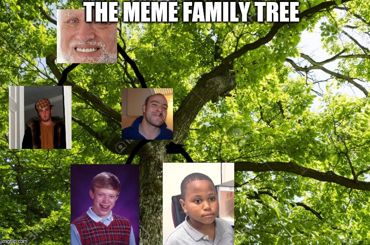 oak tree | THE MEME FAMILY TREE | image tagged in oak tree | made w/ Imgflip meme maker
