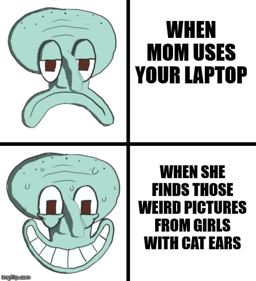 SquidDrake | WHEN MOM USES YOUR LAPTOP; WHEN SHE FINDS THOSE WEIRD PICTURES FROM GIRLS WITH CAT EARS | image tagged in squiddrake | made w/ Imgflip meme maker