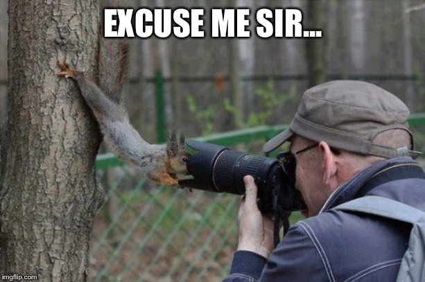 Jehovas Witness Squirrel Meme | EXCUSE ME SIR... | image tagged in memes,jehovas witness squirrel | made w/ Imgflip meme maker
