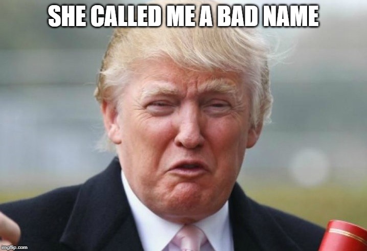 Most pathetic cry baby jelly fish bully pu**y ever in dc | SHE CALLED ME A BAD NAME | image tagged in trump crybaby,memes,politics,maga,impeach trump | made w/ Imgflip meme maker