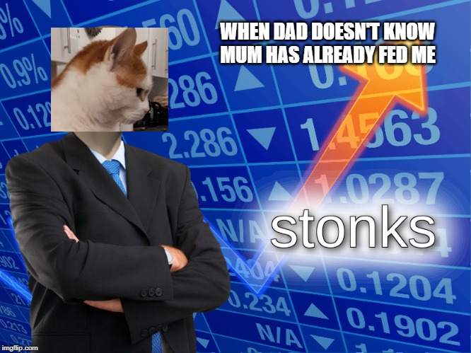 stonks | WHEN DAD DOESN'T KNOW MUM HAS ALREADY FED ME | image tagged in stonks | made w/ Imgflip meme maker