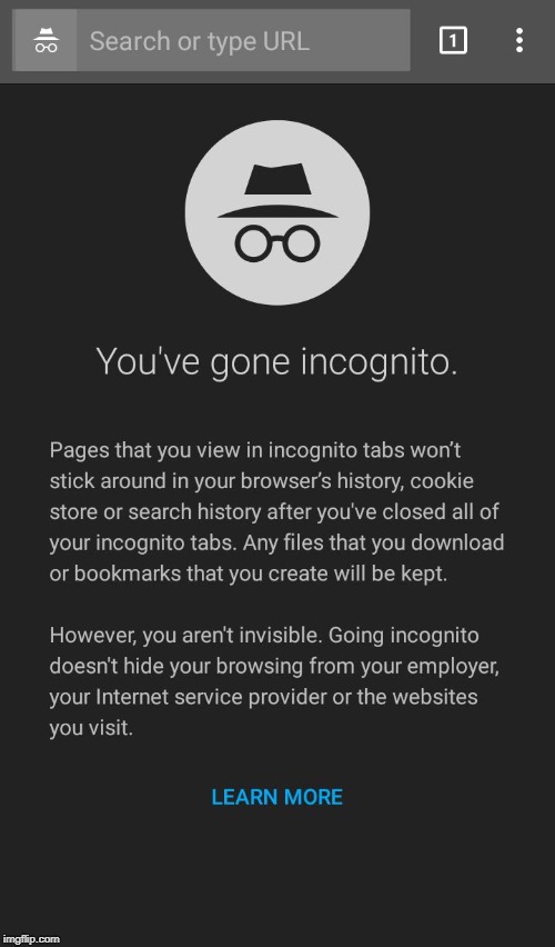 Incognito | image tagged in incognito | made w/ Imgflip meme maker