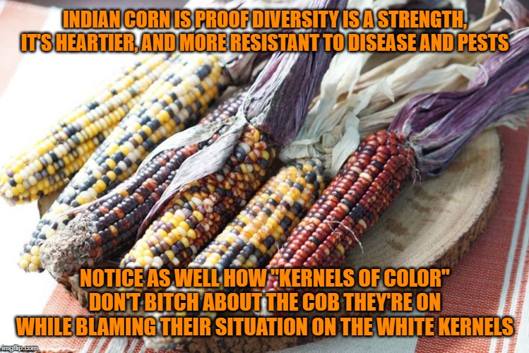 Cornfucious says | INDIAN CORN IS PROOF DIVERSITY IS A STRENGTH, IT'S HEARTIER, AND MORE RESISTANT TO DISEASE AND PESTS; NOTICE AS WELL HOW "KERNELS OF COLOR" DON'T BITCH ABOUT THE COB THEY'RE ON WHILE BLAMING THEIR SITUATION ON THE WHITE KERNELS | image tagged in diversity,people of color,love it or leave it | made w/ Imgflip meme maker