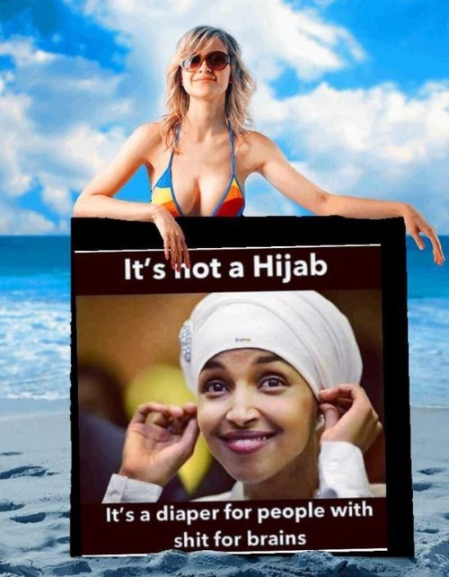 It's not a Hijab. It's a diaper for people with shit for brains. | image tagged in hijab,ilhan omar,shit for brains,shitpost,fuck this shit,goatshaggers | made w/ Imgflip meme maker