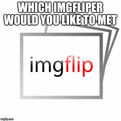 Which imgfliper would you like to  meet | WHICH IMGFLIPER WOULD YOU LIKE TO MET | image tagged in imgflip | made w/ Imgflip meme maker