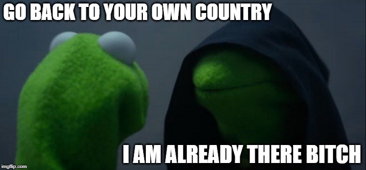 Zing! | GO BACK TO YOUR OWN COUNTRY; I AM ALREADY THERE BITCH | image tagged in memes,evil kermit | made w/ Imgflip meme maker