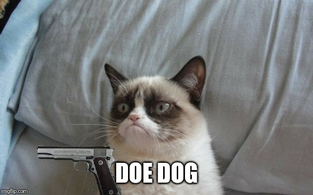 Grumpy cat gun | DOE DOG | image tagged in grumpy cat gun | made w/ Imgflip meme maker