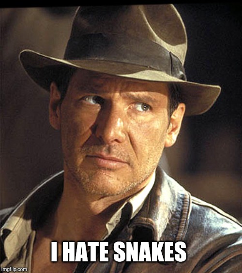 Indiana jones | I HATE SNAKES | image tagged in indiana jones | made w/ Imgflip meme maker