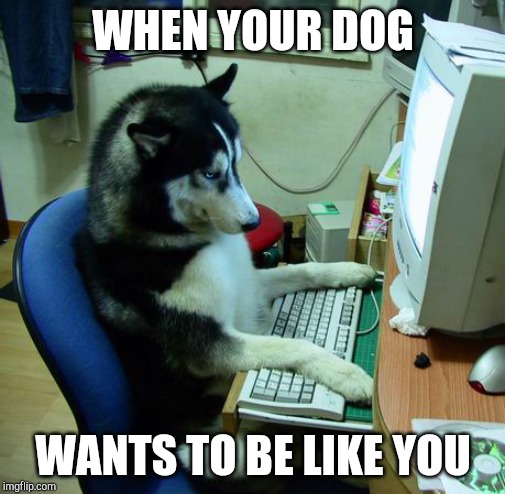 I Have No Idea What I Am Doing | WHEN YOUR DOG; WANTS TO BE LIKE YOU | image tagged in memes,i have no idea what i am doing | made w/ Imgflip meme maker