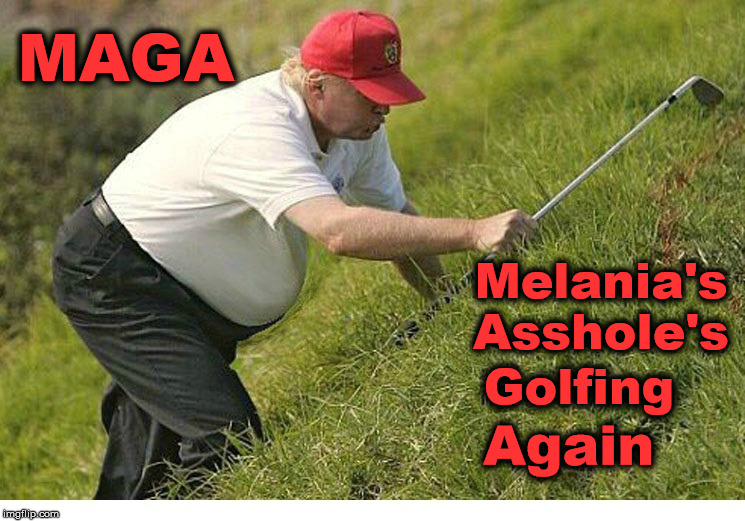 Lost His Balls | MAGA; Melania's
Asshole's; Golfing; Again | image tagged in donald trump,golf,melania trump | made w/ Imgflip meme maker