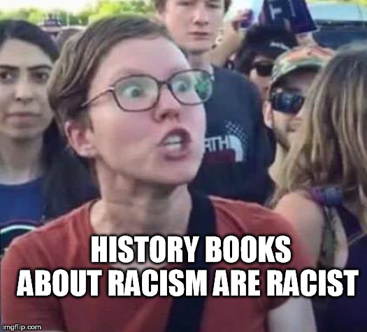 Angry Liberal | HISTORY BOOKS ABOUT RACISM ARE RACIST | image tagged in angry liberal | made w/ Imgflip meme maker