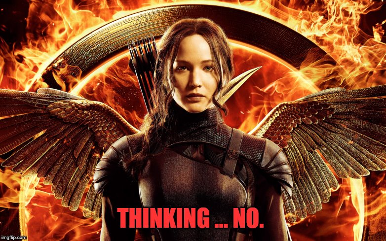 hunger games  | THINKING … NO. | image tagged in hunger games | made w/ Imgflip meme maker