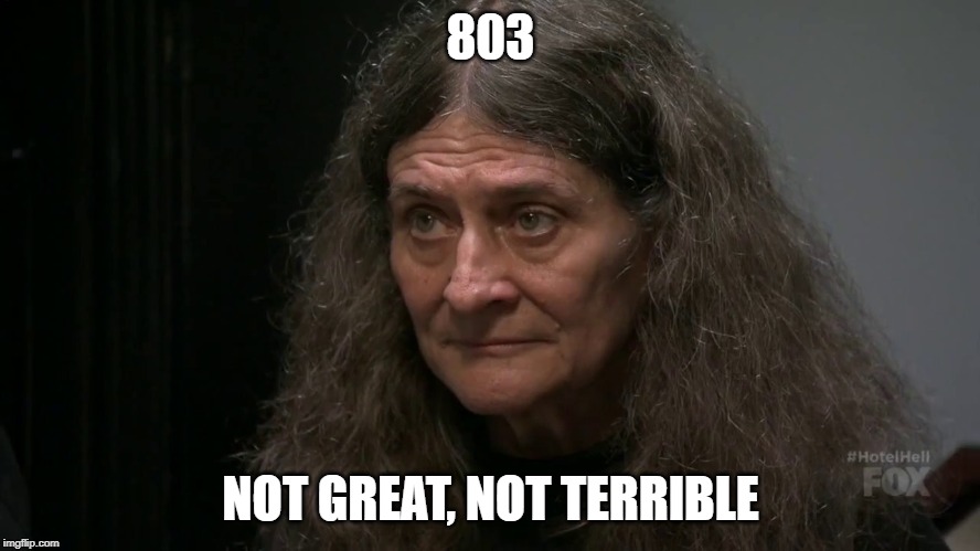803; NOT GREAT, NOT TERRIBLE | image tagged in hotel hell,diarrhea,not great not terrible | made w/ Imgflip meme maker