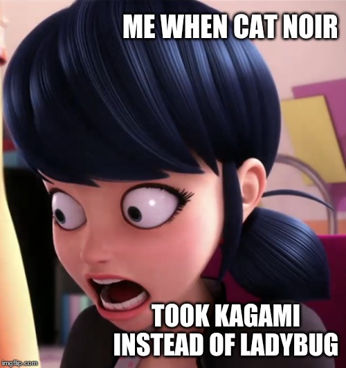 Miraculous LB Marinette | ME WHEN CAT NOIR; TOOK KAGAMI INSTEAD OF LADYBUG | image tagged in miraculous lb marinette | made w/ Imgflip meme maker
