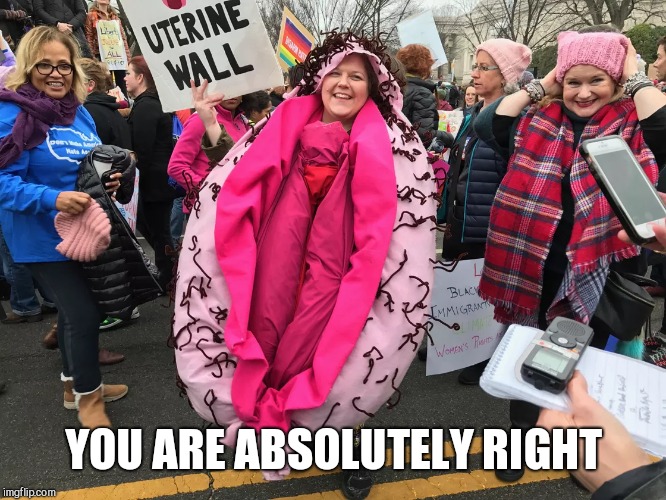 YOU ARE ABSOLUTELY RIGHT | made w/ Imgflip meme maker