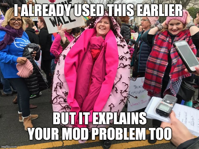 I ALREADY USED THIS EARLIER BUT IT EXPLAINS YOUR MOD PROBLEM TOO | made w/ Imgflip meme maker