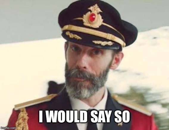 Captain Obvious | I WOULD SAY SO | image tagged in captain obvious | made w/ Imgflip meme maker