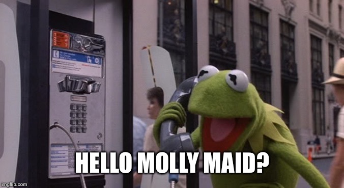 Kermit Phone | HELLO MOLLY MAID? | image tagged in kermit phone | made w/ Imgflip meme maker