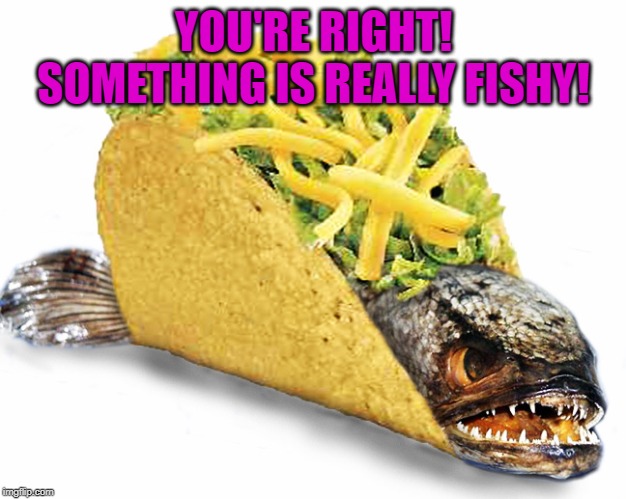 Fish Taco | YOU'RE RIGHT! SOMETHING IS REALLY FISHY! | image tagged in fish taco | made w/ Imgflip meme maker