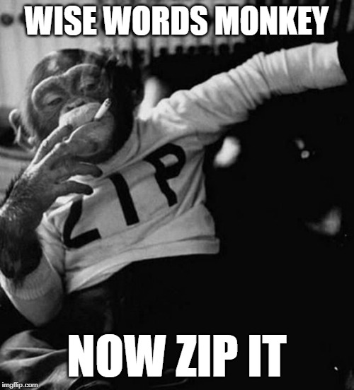 monkey smoke zip | WISE WORDS MONKEY NOW ZIP IT | image tagged in monkey smoke zip | made w/ Imgflip meme maker