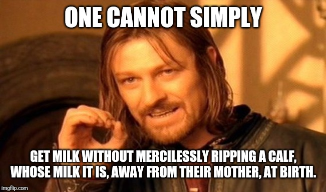 One Does Not Simply Meme | ONE CANNOT SIMPLY; GET MILK WITHOUT MERCILESSLY RIPPING A CALF, WHOSE MILK IT IS, AWAY FROM THEIR MOTHER, AT BIRTH. | image tagged in memes,one does not simply | made w/ Imgflip meme maker