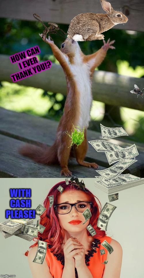 Happy Squirrel | HOW CAN I EVER THANK YOU!? WITH CASH PLEASE! | image tagged in happy squirrel | made w/ Imgflip meme maker