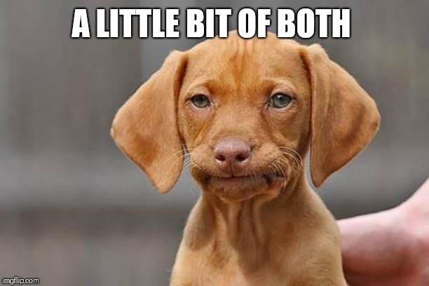 Dissapointed puppy | A LITTLE BIT OF BOTH | image tagged in dissapointed puppy | made w/ Imgflip meme maker