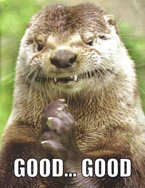image tagged in funny,animals