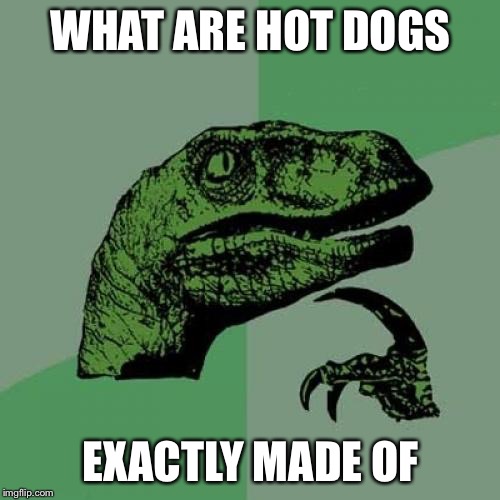 Philosoraptor Meme | WHAT ARE HOT DOGS EXACTLY MADE OF | image tagged in memes,philosoraptor | made w/ Imgflip meme maker