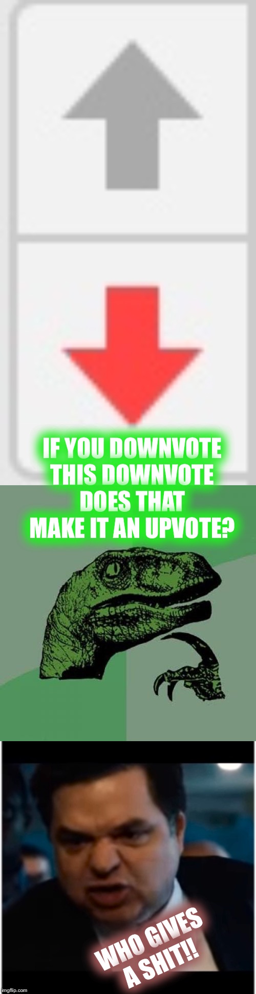IF YOU DOWNVOTE THIS DOWNVOTE DOES THAT MAKE IT AN UPVOTE? WHO GIVES A SHIT!! | image tagged in memes,philosoraptor,you stupid shit,downs for jack | made w/ Imgflip meme maker