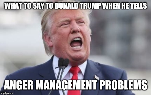 How to Deal with Trump | WHAT TO SAY TO DONALD TRUMP WHEN HE YELLS; ANGER MANAGEMENT PROBLEMS | image tagged in memes,funny memes,donald trump,funny,animals,one does not simply | made w/ Imgflip meme maker