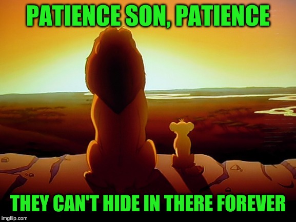 Lion King Meme | PATIENCE SON, PATIENCE THEY CAN'T HIDE IN THERE FOREVER | image tagged in memes,lion king | made w/ Imgflip meme maker
