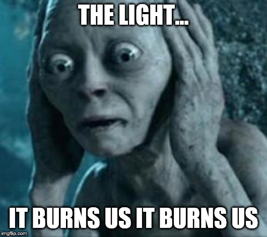 Scared Gollum | THE LIGHT... IT BURNS US IT BURNS US | image tagged in scared gollum | made w/ Imgflip meme maker