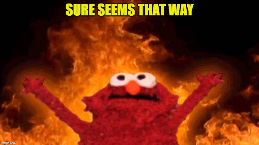 elmo fire | SURE SEEMS THAT WAY | image tagged in elmo fire | made w/ Imgflip meme maker